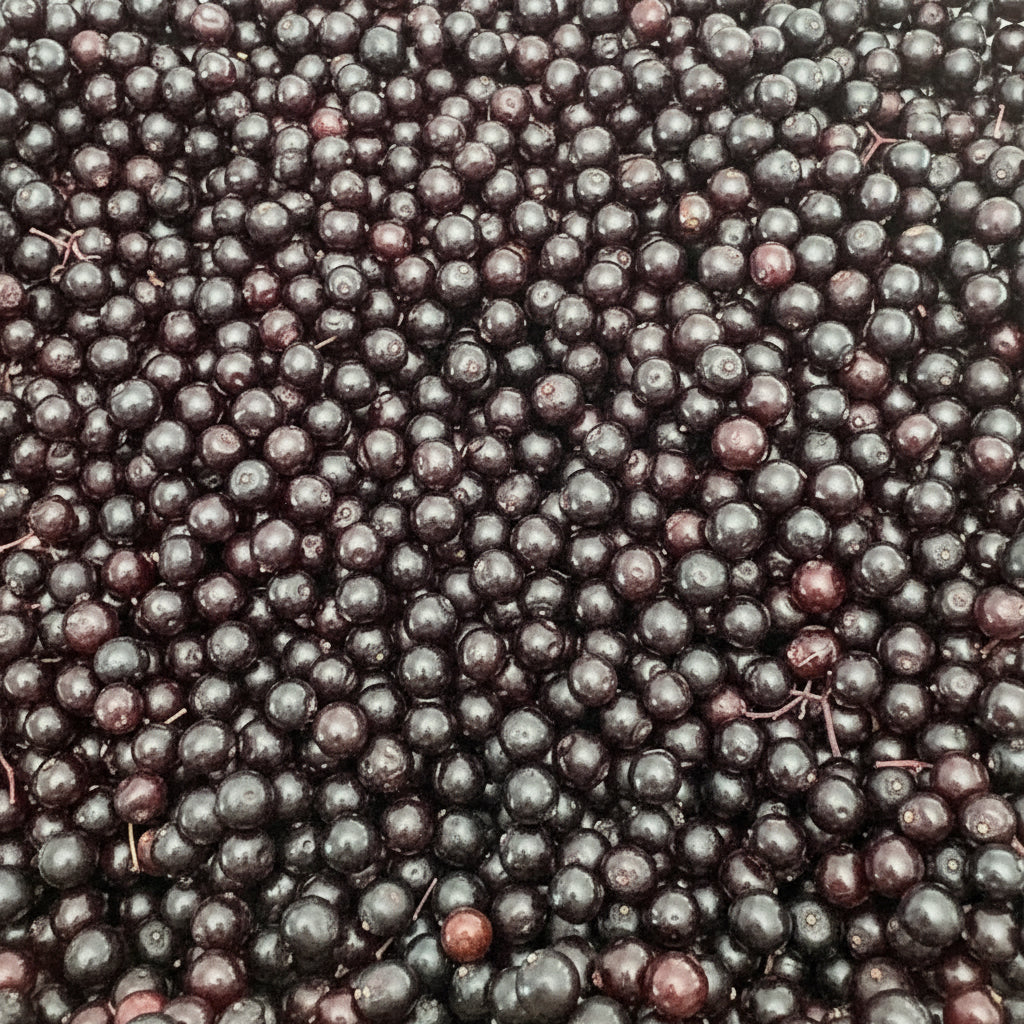 A close-up pile of dark purple-black berries, elderberries, filling the frame on a yellow surface.