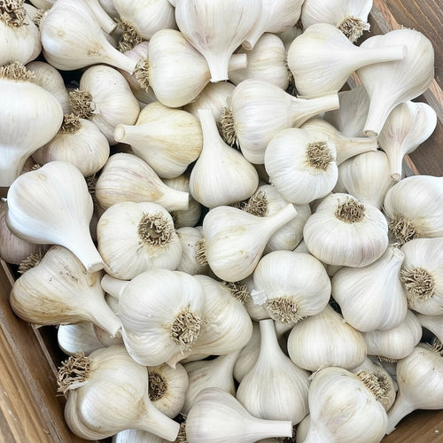 A close-up, top-down view of fresh white garlic bulbs piled inside a wooden box.