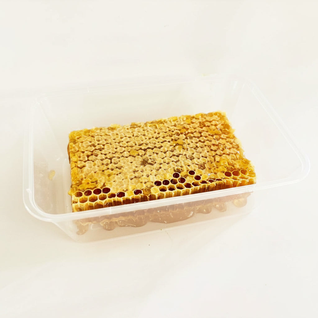 A rectangular piece of raw honeycomb with visible honeycomb cells and dark honey pools, presented inside a clear plastic container on a plain white background.