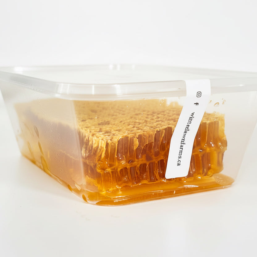 A clear plastic container holding honeycomb with visible golden-yellow and amber tones, photographed on a white tabletop with a blurred indoor background.