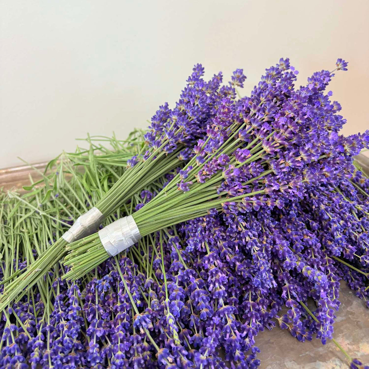 Dried Lavender Bundles