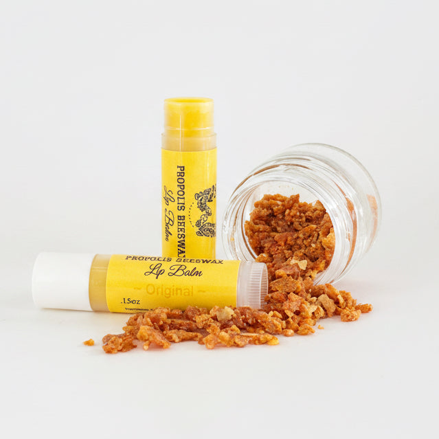 A tube and jar of Propolis Beewax Lip Balm with orange-brown propolis crystals spilled out, set against a clean light gray background.